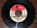 Rare 45 rpm garage doo wop soul THE SULTANS Mary Mary / How Far 1963 Jam 107
