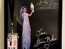 stevie nicks SIGNED bella donna vinyl FRAMED w/VIP PASS 2019 Hall Of Fame