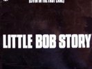Livin In The Fast Lane [Vinyl] Little Bob Story