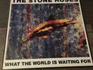 The Stone Roses WHAT THE WORLD IS WAITING FOR 12