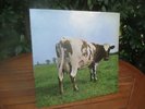 LP Pink Floyd - ATOM HEART MOTHER - VINYL near MINT - HARVEST EMI Records 1974