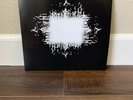 Aenima Vinyl