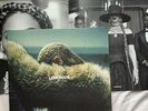 beyonce lemonade yellow vinyl