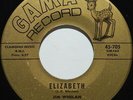 Beau Havens Elizabeth b/w Feel So Good RARE '66 DC Garage Punk Gama 45-705 HEAR