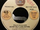 Felix Cavaliere - Never Felt Love Before (7