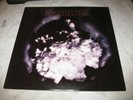 Van Morrison Enlightenment 1990 Mercury ?847 100-1 Jacket NM- Vinyl NM USA