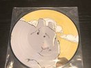 Andrew Jackson Jihad ?People Who Can Eat People Picture Disc Vinyl LP Folk Punk