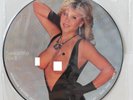 SAMANTHA FOX Interview Picture Disk 2 LP (BAK 2055) Cheesecake