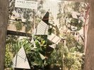 Clean Bandit New Eyes LP VINYL OVP