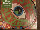 13th Floor Elevators LP Picture Disc - The Psychedelic Sounds Of....
