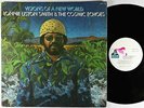 Lonnie Liston Smith - Visions Of A New World LP - Flying Dutchman