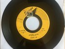 Rare DooWop 45 RANDY LEE Never Ever / I Never Knew SPANN 402 Vinyl Record HEAR