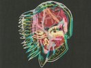 ALL THEM WITCHES - Nothing As The Ideal - Vinyl (gatefold coloured vinyl LP)