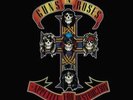 Guns N' Roses-Appetite for Destruction Vinyl / 12