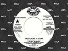 Lynyrd Skynyrd 45 SOUNDS OF THE SOUTH 40258 