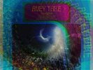 Avey Tare SEALED Eucalyptus 2 x LP OOP Animal Collective