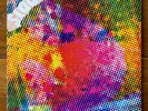 The Litter – $100 Fine – Psych Rock-Garage Rock-Hard Rock Vinyl LP – OG Hexagon