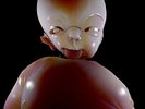 Arca - &&&&& [New Vinyl LP]
