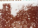 GALAXIE 500-TODAY (RMST) VINYL LP NEW
