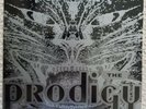 THE PRODIGY  CHARLY 12