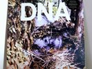 DNA A Taste Of DNA VINYL LP Sealed
