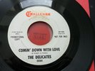 The Delicates Comin' Down With Love / Stop Shovin' Me Around