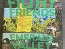 Filthy Friends Emerald Valley Limited Pink Vinyl LP w/ 7” & Extras Only 300