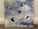 Giant Rooks Rookery Vinyl Limited Deluxe Edition