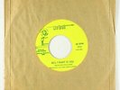 Garage 45 - Shadden & the King Lears - All I Want Is You - Arbet - NM mp3