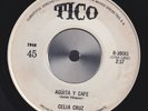 CELIA CRUZ aguita y cafe RARE FEMALE BOOGALOO LATIN SOUL 1969 «listen here»