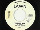 R&B Rocker 45 - Dial Tones - Chicago Bird - Lawn - mp3