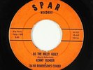 R&B Rocker/Doo-Wop 45 - Kenny Hamber - Do The Hully Gully - SPAR - mp3