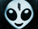 Skrillex / Recess 180 Gram Vinyl Record
