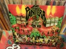PANTERA-PROJECTS IN THE JUNGLE