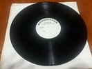ANGELO BRANDUARDI -  LA PULCE D'ACQUA - TEST PRESSING PHONOSTER PROVINO G++