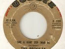 THE PROFILES Take A Giant Step ( Walk On )  GOLDIE  NORTHERN SOUL USA 45