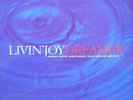 ID6629z - Livin' Joy - Dreamer - MCST 2056 - vinyl 12 - uk