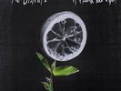 The Districts-A Flourish and a Spoil (UK IMPORT) Vinyl / 12