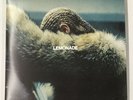 BEYONCE Lemonade | D-139
