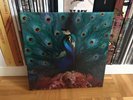 OPETH - SORCERESS (10