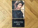 SAMANTHA FOX   SPECIAL EDITION TRIPLE PICTURE DISC 1987 POP RAR