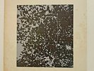 JPN LP  Masato Minami / The Tropics  JRS-8003   ?Les Rallizes Dénudés