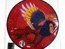David Bowie The Man Who Sold The World Vinyl Record Store Day RSD 2016 Picture
