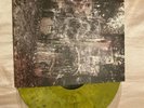 LA DISPUTE - WIldlife, Green And Clear Vinyl Gatefold Great Condition