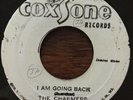 THE BURNING SPEAR THE CHARMERS Zion Higher - I Am Going Back COXSONE 7” 45 VINYL