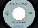 SWEET SOUL BALLAD-SPLIT IMAGE-SPLIT IMAGE-555-FOOL OF THE YEAR