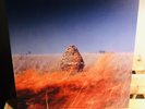 The Maccabees - Given To The Wild Rare Indie Vinyl EX Foals Vampire Weekend
