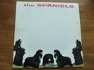 Spaniels, 