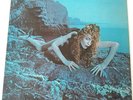 Roxy Music - Siren - Vinyl LP UK 1st Press EX/EX+