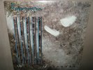 KAJA GOO GOO White Feathers MINTY ORIGINAL SEALED PROMO Vinyl LP 1983 ST-17094